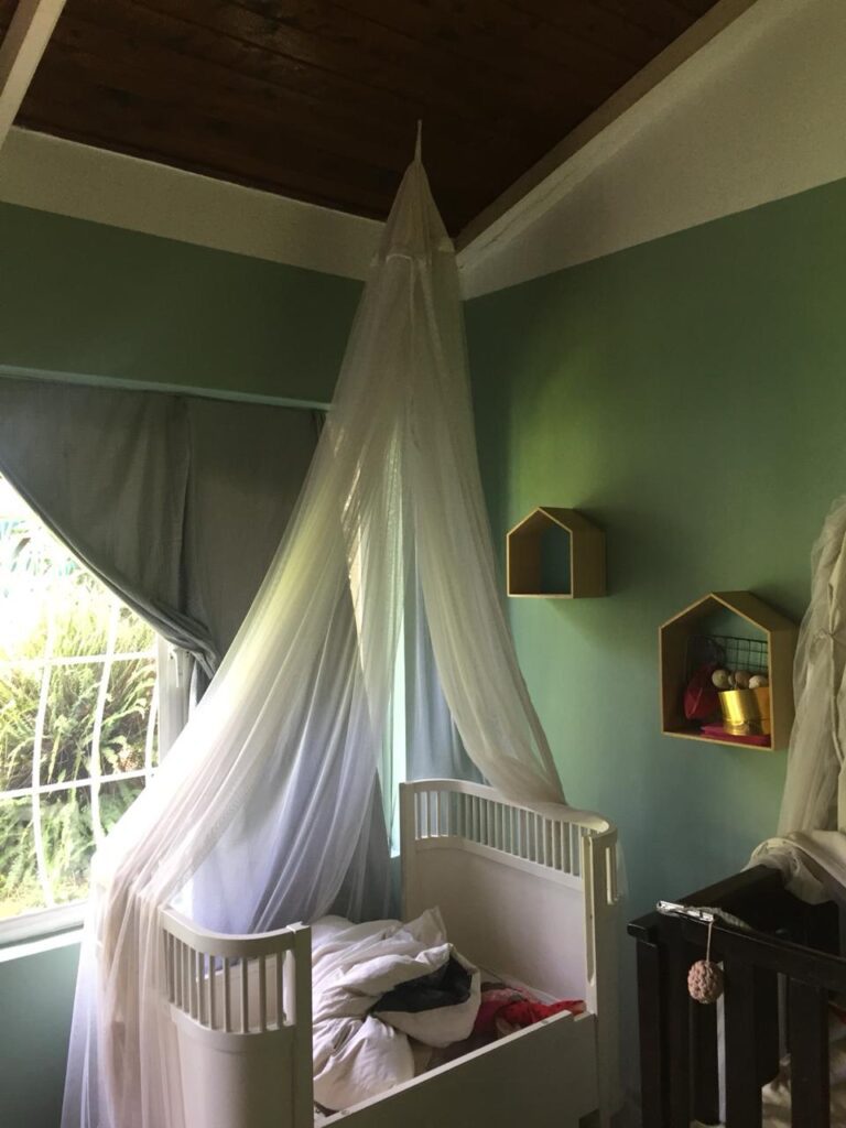 Mosquito Net