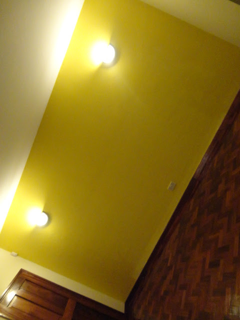 Painting Options